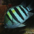 IMG 7838